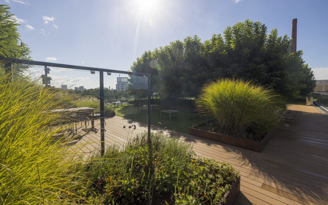 Silvadec Lima Strijp-T