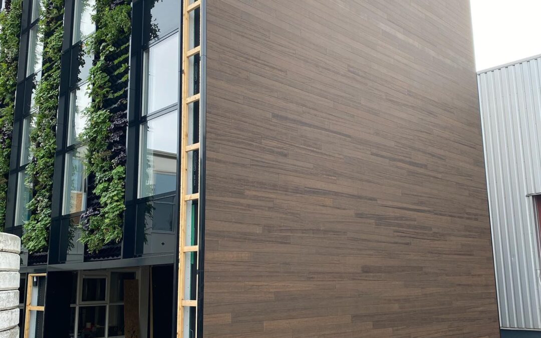 Bamboo B-closed 137mm